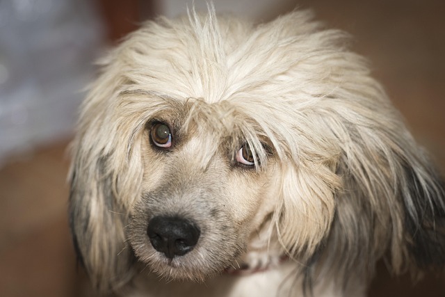 Karolina Szymańska edukatorka finanse cyfrowe portret